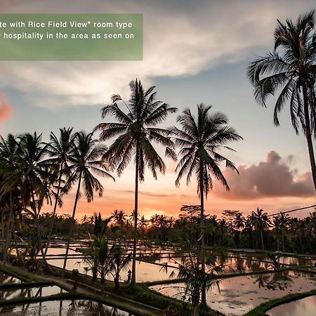 Ayu Duwur Beji Hotel Ubud Kültér fotó