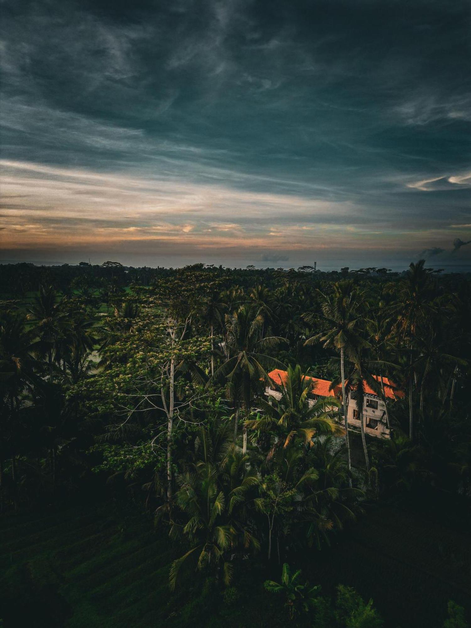 Ayu Duwur Beji Hotel Ubud Kültér fotó